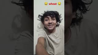 Agale happhte sadi hai rajkashyappopularfunnyvideostrending comedy viralshort [upl. by Dollar]