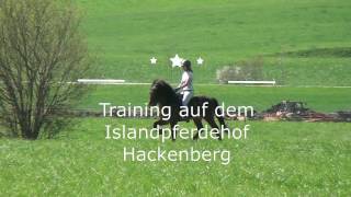 Islandpferde Training [upl. by Aniez]