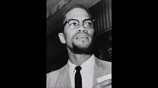 Dane Calloway Speaks the Truth on Malcolm X [upl. by Htidirem]