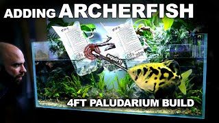 ADDING ARCHERFISH to the 4ft Paludarium Build [upl. by Sadonia]