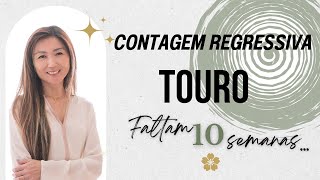 TOURO FIM DO ANO CONTAGEM REGRESSIVA PARA A MUDANÇA 20242025 [upl. by Awahsoj]