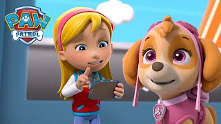 Katie prowadzi Psi Patrol aby powstrzymać szczekające koty i nie tylko  PAW Patrol po polsku [upl. by Andrien]