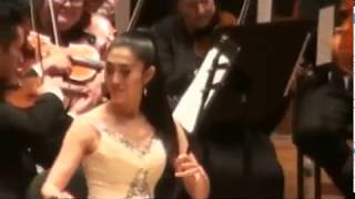 Dance of Yao – Feifei Yang Erhu Jiaju Shen Pipa [upl. by Perretta297]