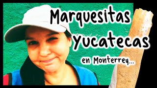 Donde comer MARQUESITAS YUCATECAS en MONTERREY [upl. by Ahsiekar]