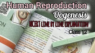 Oogenesis NCERT line by line explanation  Part 5 [upl. by Solnit]