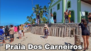 Praia Dos Carneiros Pernambuco Acesso Público E Almoço De 20 Reais [upl. by Raskin]