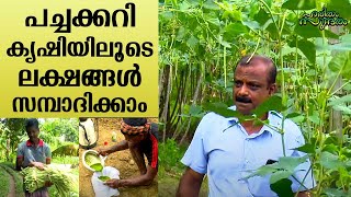 Earn millions through profitable and affordable vegetable cultivation  Haritham Sundaram EP 340 [upl. by Latsyek]