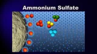 Bioprocessing Part 3 Purification [upl. by Asilat]