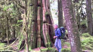 Gambier Island  Wild Heart of Howe Sound [upl. by Nilkoorb]