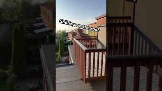 Chilling on the roof roofing chill chilling subscribe GOLDENCHICK short shorts [upl. by Atinrehs]