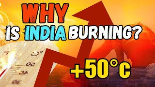 SEVERE HEAT WAVES EXPLAINED🔥HOTTEST SUMMER EVER RECORDED🔥climatechange heatwaves doomsday [upl. by Leod664]