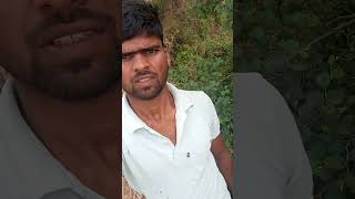 Aaj to aapna lalghoda k salensar 2 tukda ho jata hai 😱support vlog short farming [upl. by Eceinej]