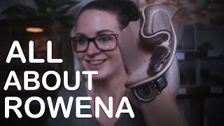 ALL ABOUT ROWENA My purple passion ball python [upl. by Pate615]