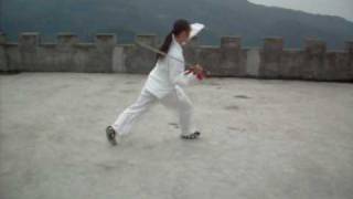 Wudang Sword 7 Stars Form by Yuan Li Min disciple Zhang Wei Hai 武当七星剑 [upl. by Amyas837]