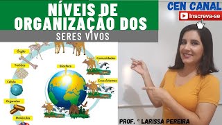 NÍVEIS DE ORGANIZAÇÃO DOS SERES VIVOS [upl. by Efinnej]