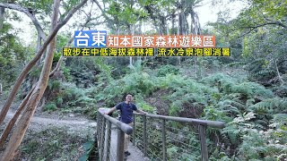 臺東知本國家森林遊樂區 散步在中低海拔森林裡大口呼吸新鮮空氣，還有消暑的流水冷泉泡腳消暑 [upl. by Sokcin]