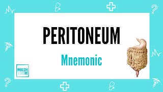 Peritoneum  Retroperitoneal organs  Mnemonic  Homoeopathy  Anatomy  Medi Trix [upl. by Imogen]