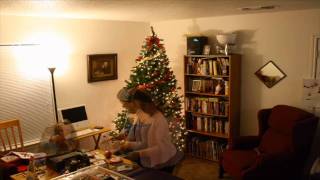 Sheets Family Christmas Tree Time Lapse 2011  Shippensburg PA [upl. by Strohben]