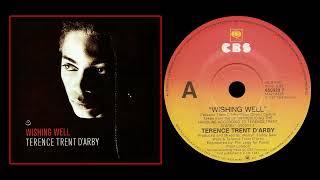 Terence Trent DArby  Wishing Well Extended [upl. by Avril]