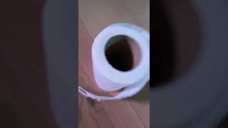 Toilet paper toiletpaper [upl. by Savior]