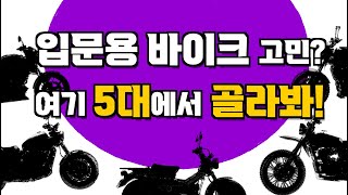 입문자를 위한 125cc 추천 바이크 Top5 영광의 1위는 [upl. by Jania791]