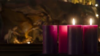 Live Mass  Monday of the Second Week of Advent [upl. by Esetal]