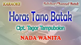 HORAS TANO BATAK ll KARAOKE BATAK ll TAGOR TAMPUBOLON ll NADA WANITA BESDO [upl. by Lodovico123]