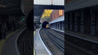 A class 375 entering Tunbridge Wells via Wells Tunnel Sunday 27 October 2024 [upl. by Norm]