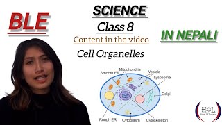 CELL ORGANELLES  PART 2  CELL  CLASS 8  BLE  SCIENCE [upl. by Ellesirg337]