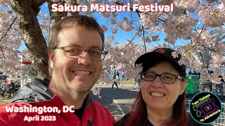 Sakura Matsuri Festival  Washington DC  April 2023 [upl. by Rinaldo378]