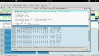 Looking at slowhttptest slow loris attack with Wireshark [upl. by Fancie580]