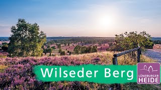 Der Wilseder Berg das Herz der Lüneburger Heide [upl. by Anisirhc]