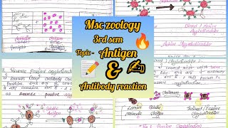 antigen and antibody reaction msc zoology 3rd sem notes immunology ✍️📝✨ [upl. by Neerehs]