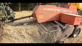 Massey 1840  BIG Windrows  Lots of Straw [upl. by Cathie]