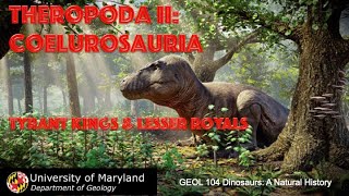 Lecture 23 Theropoda II Coelurosauria Tyrant Kings and Lesser Royals [upl. by Odrawde]