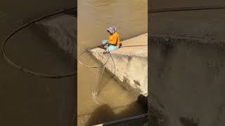 Fisher woman trying to catch fish with tool scoop net fishing for food fishing catchingfish fish [upl. by Countess]