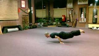 Martial Arts  Chinese Yoga or Yi Jin Jing External Qi Gong [upl. by Yellac]