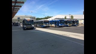 Buses in Vancouver BC Episode 2 [upl. by Sonnnie36]