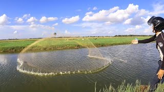 Cast Net Fishing In Canal At Rice Fields We Catch Up Lot Fish [upl. by Nillad801]