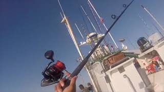 Fishing Malibu for Calico Bass Mackerel Sheepshead Lingcod and Rockfish in 2024 [upl. by Einwat]