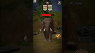 Animal Hunter Wild Shooting  Level 43 Challenge 🦌🎯 [upl. by Esertap468]