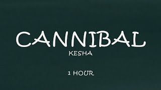 Kesha  Cannibal 1 Hour Lyrics [upl. by Napra449]