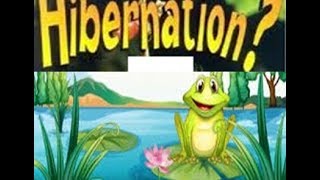 Hibernation Definition for Kids  ToddlersKindergartenPreschoolers [upl. by Amein185]