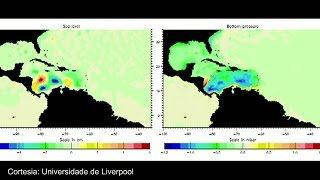 Cientistas identificam som misterioso que surge do mar do Caribe [upl. by Olram787]