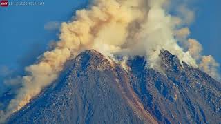 Nov 12 2024 Pyroclastic Flows Avalanche of Boulders Birds at Volcán de Santa Maria Guatemala [upl. by Oivlis]