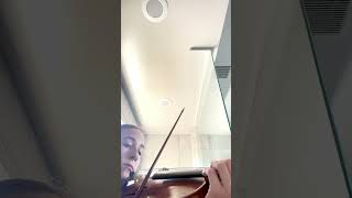 Dvorak Violin Concerto  Trying out my shower acoustics PART 4 shorts classicalmusic violin [upl. by Judye]