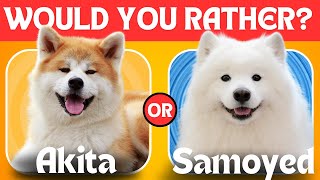 Would You Rather 🐶 Dog Breeds Edition  Pick Your Favorite Dogs [upl. by Kcirdot]