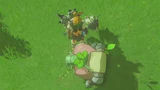 Korok Seed 684686 Fir River  The Legend of Zelda Tears of the Kingdom NS [upl. by Nyladnewg309]