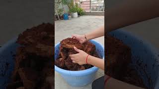 Cocopeat Uses in Gardening and its Benefits cocopeat gardeningtips plants [upl. by Irwinn]