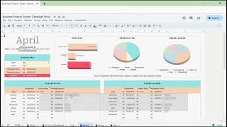 DEMO BUSINESS FINANCE TRACKER 12 [upl. by Jamieson]